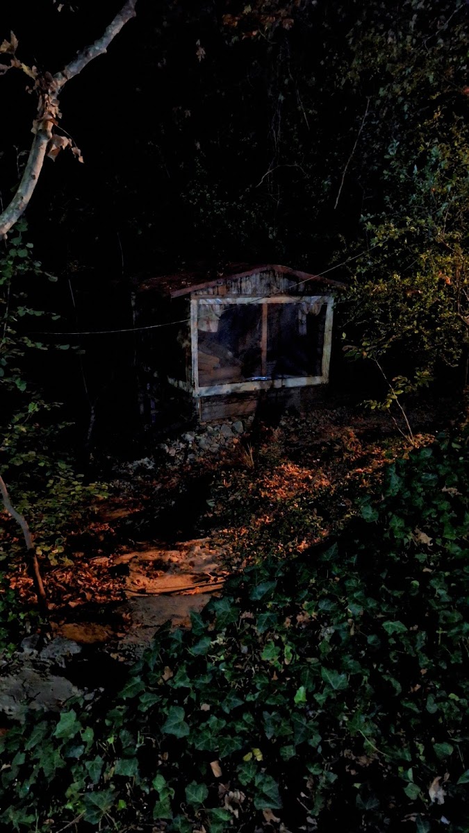 Ağlayan Şelale Kamping — fotoğraf 4