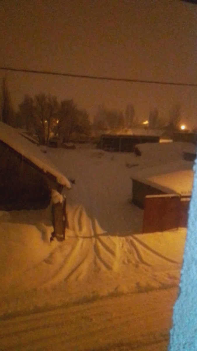 Ağrı Müftülüğü — fotoğraf 2