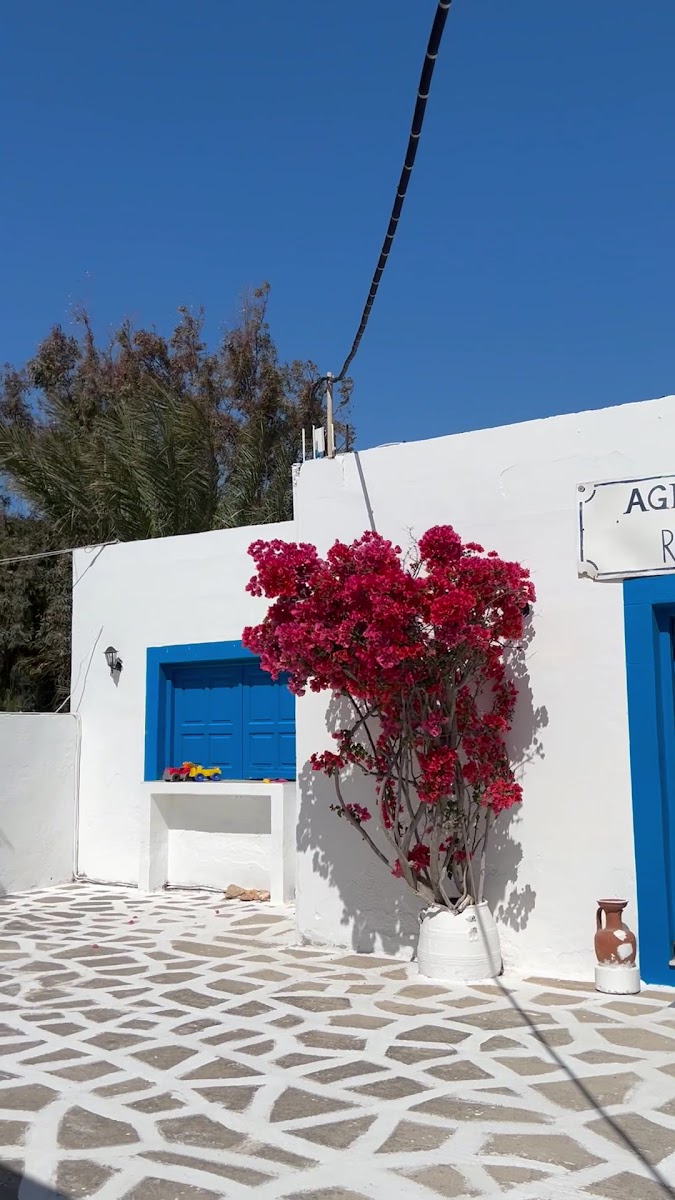 Agriolivadi — photo 3