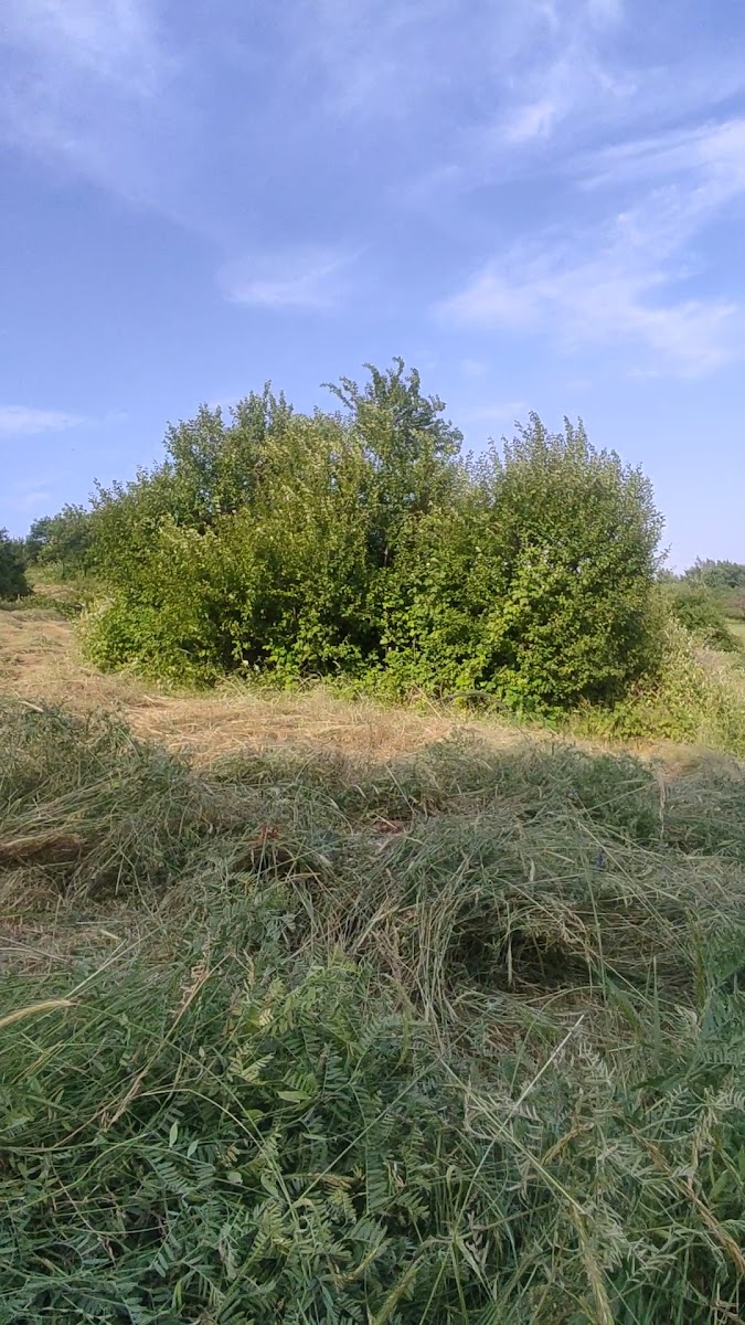 Ağsu Şəhəri — photo 2