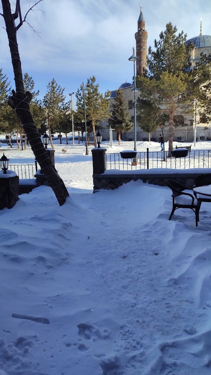 Ahıska Palas Kars — fotoğraf 3