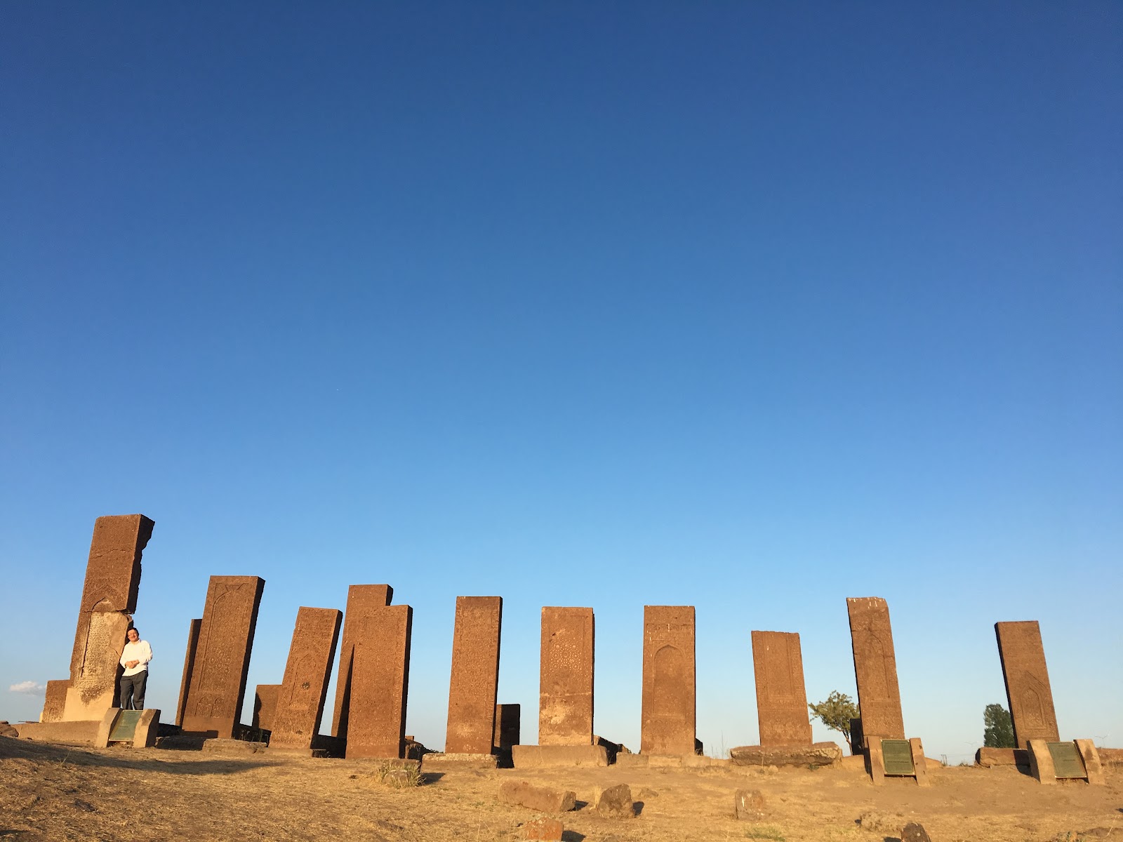 Ağrı: Öne çıkanlar