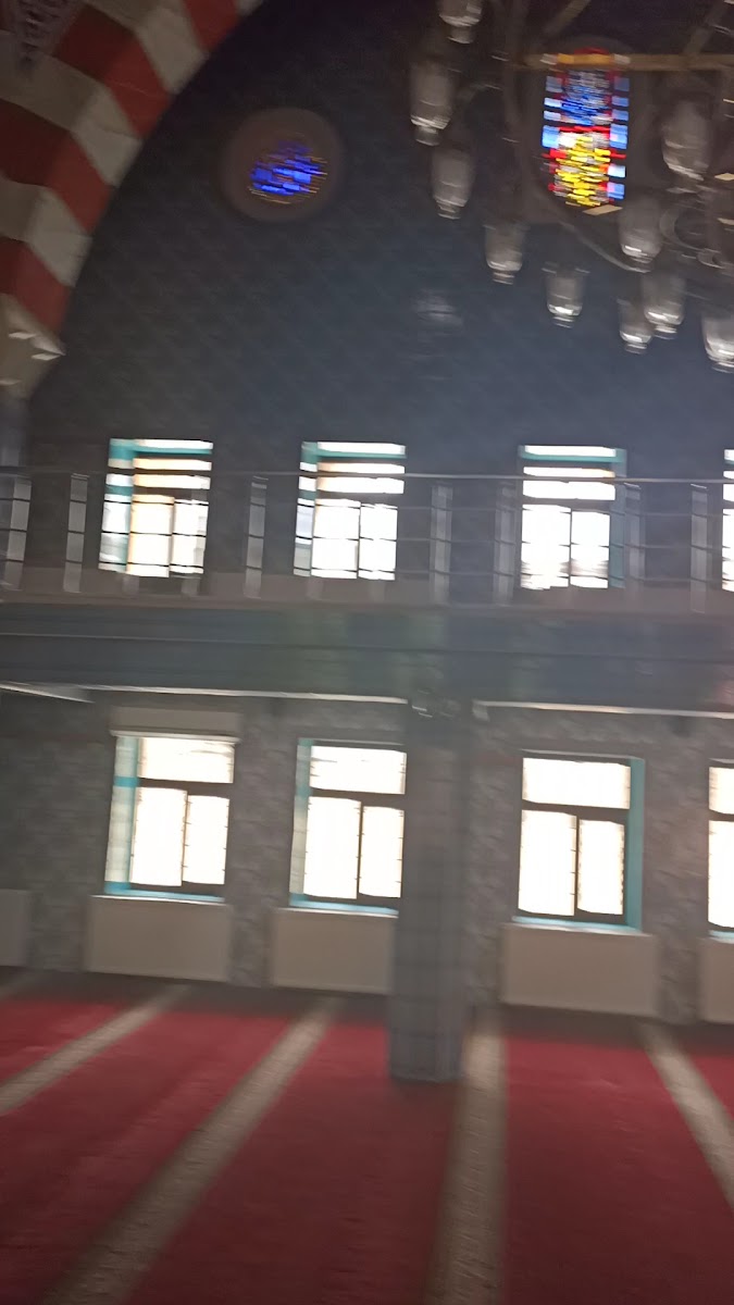 Ahmed-i Hani Cami — fotoğraf 3