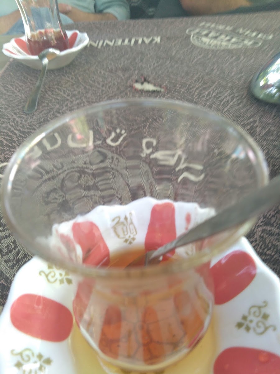 Ahmede Xane Aile Cay bahcesi — photo 3