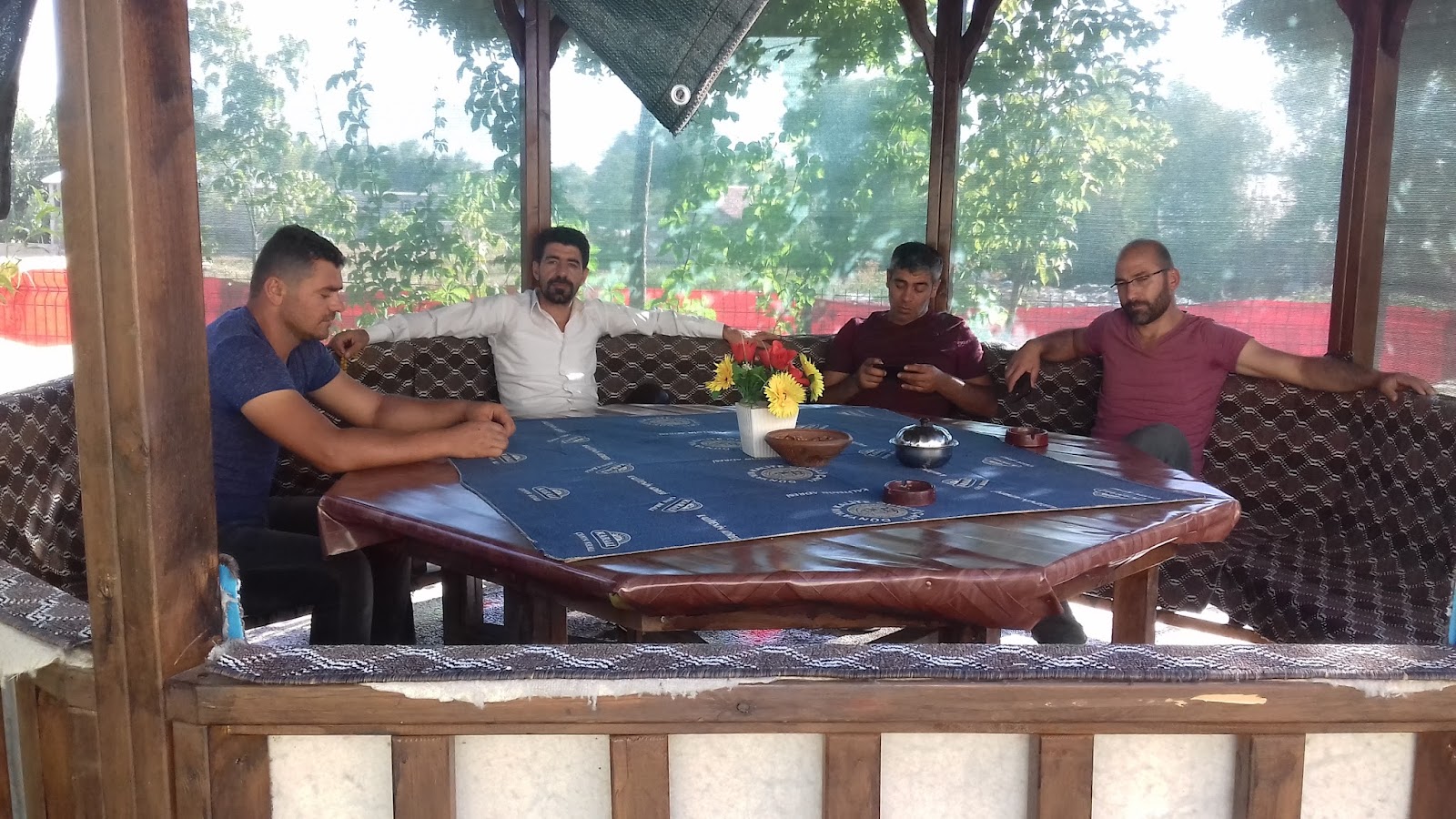 Ahmede Xane Aile Cay bahcesi — photo 5