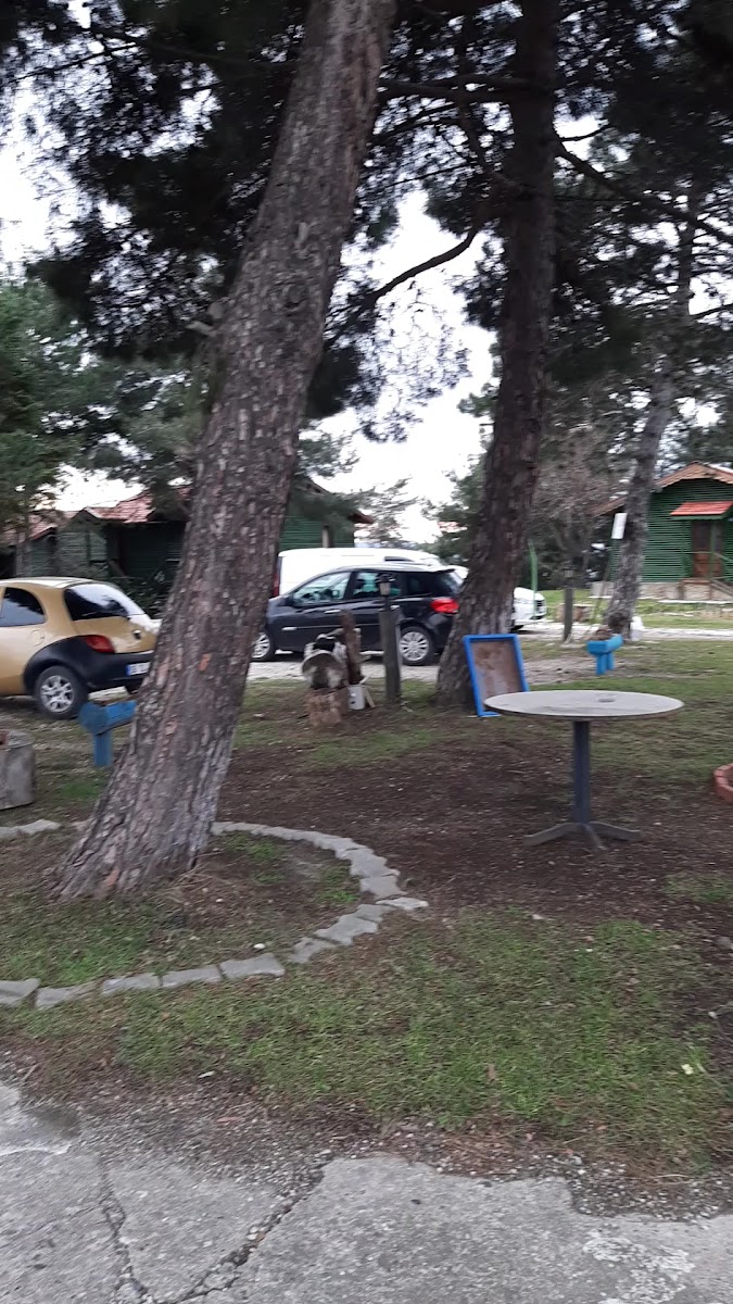 AHŞAP PARK OTEL AMASRA — fotoğraf 3