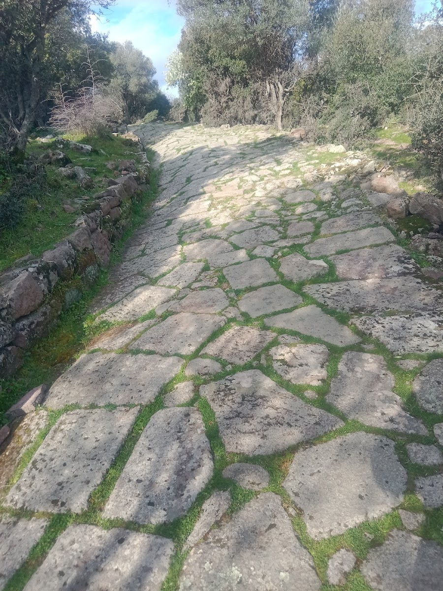 Aigai (Aiolis) Antik Kenti — fotoğraf 2
