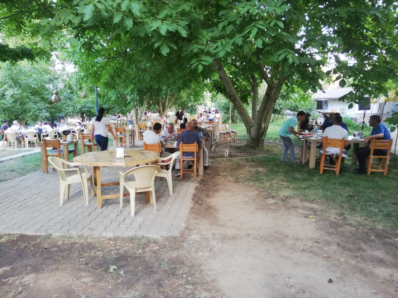 Aile Balık Sofrası — fotoğraf 4