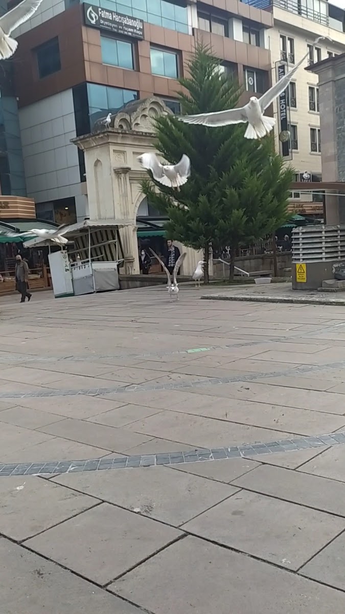 Air Boss Giresun City Hotel — fotoğraf 3