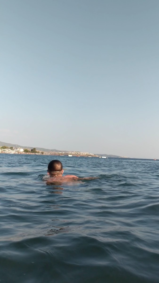 Akarca Halk Plajı — photo 3