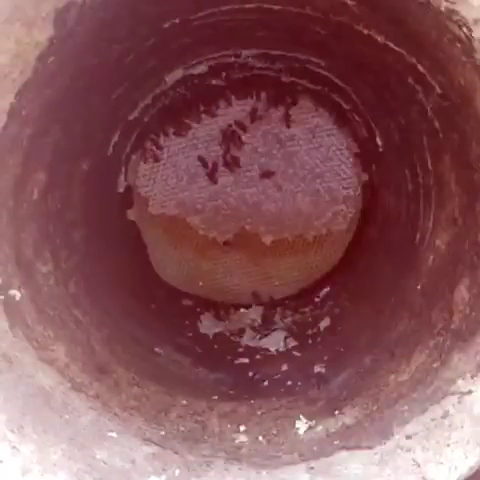 Akbulut Arıcılık ve Yerli Mahsulleri Bitlis Organik Ürünleri — fotoğraf 3