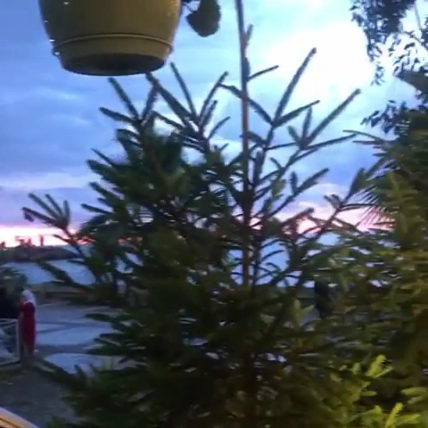 Akçaabat Horon Köfte & Balık Restaurant — fotoğraf 3