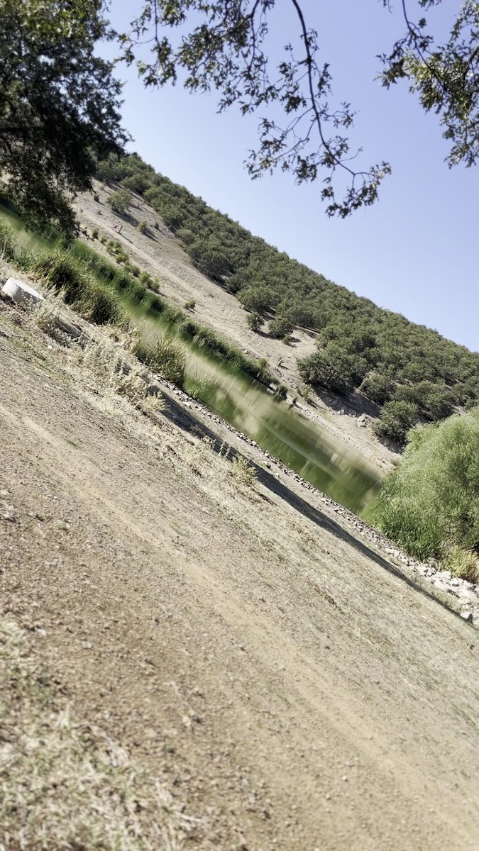 Akçakent Piknik Alanı — fotoğraf 2