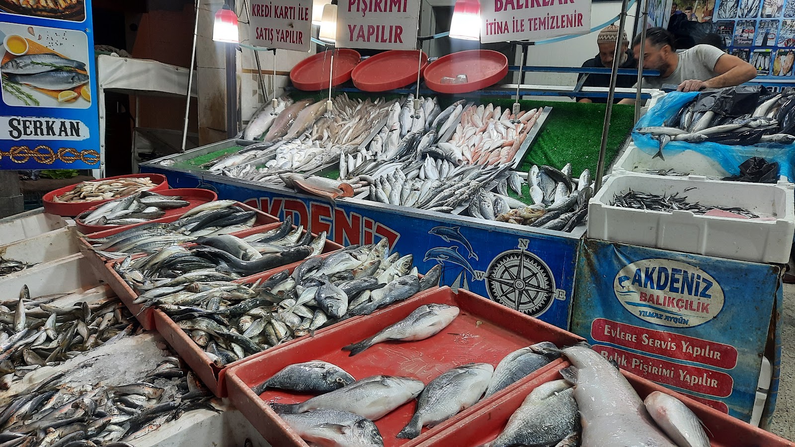 AKDENİZ BALIKÇILIK — fotoğraf 2