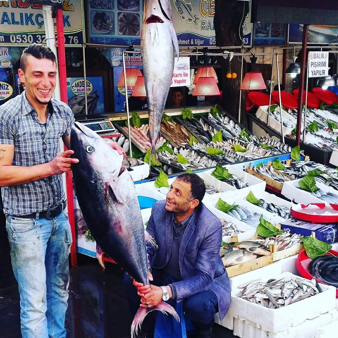 AKDENİZ BALIKÇILIK — fotoğraf 4