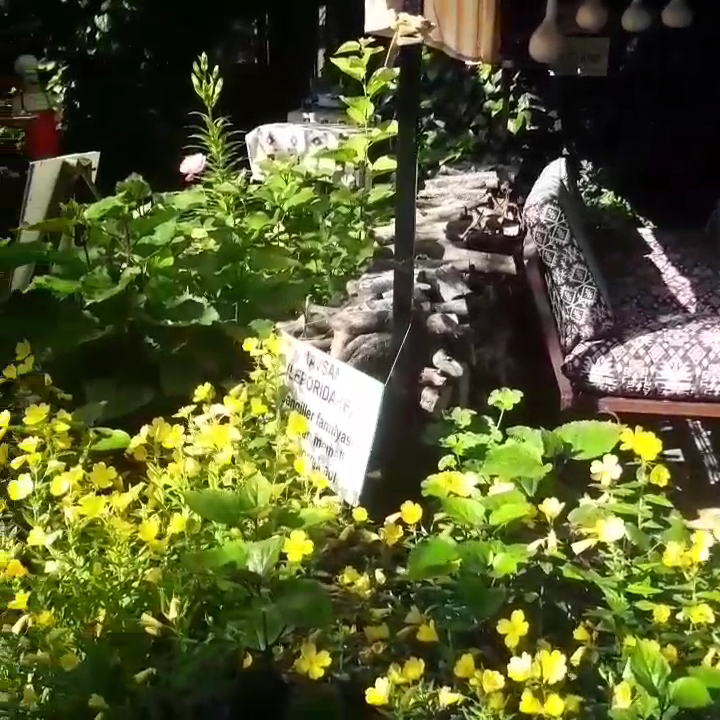 AKIN OVA KAHVALTI BAHÇESİ — fotoğraf 8