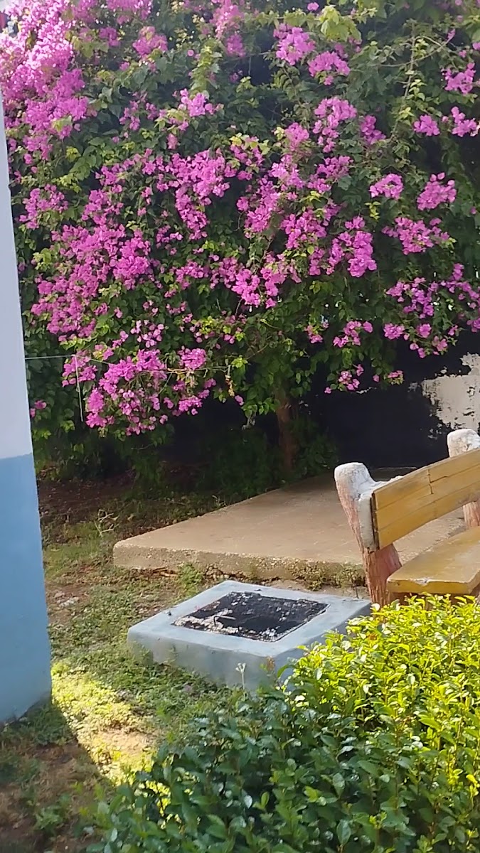 Akın Tatil Sitesi — photo 3