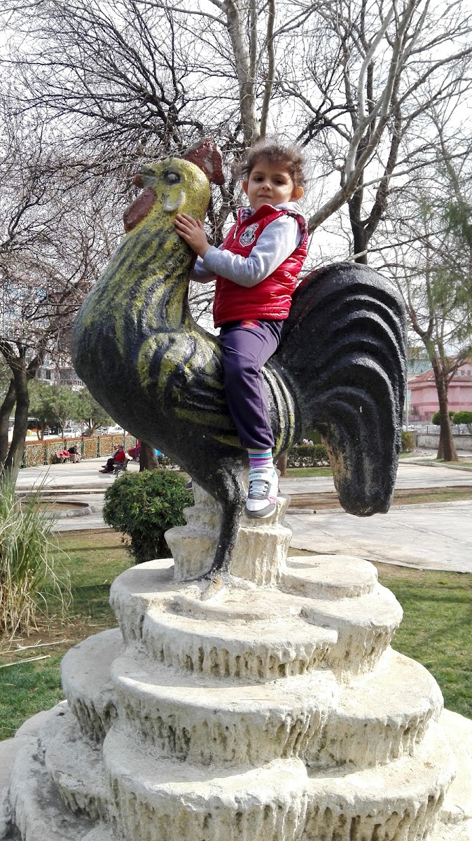 Akkonak Parkı — fotoğraf