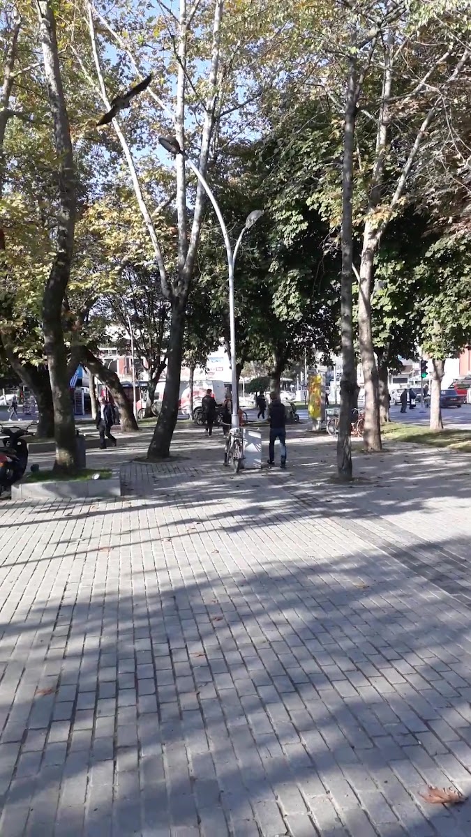 AKM (Adapazarı Kültür Merkezi) — fotoğraf 3