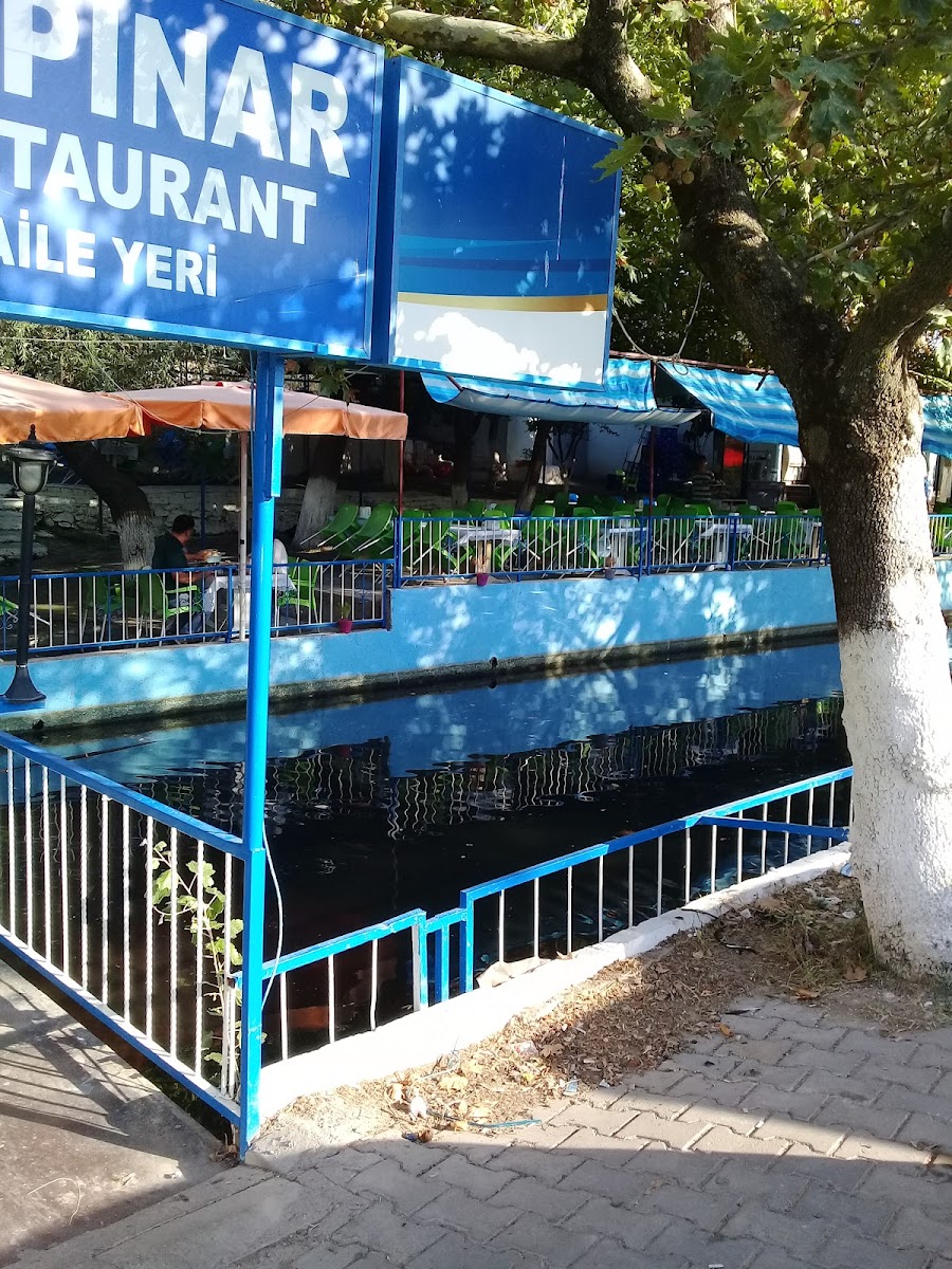 Akpınar Restaurant Canlı Sazan — fotoğraf
