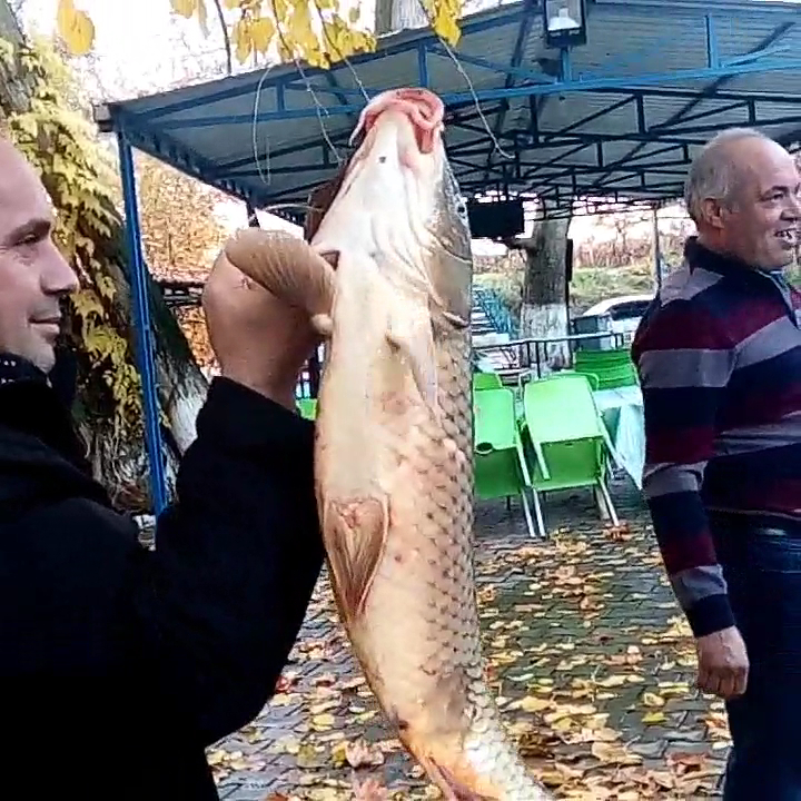 Akpınar Restaurant Canlı Sazan — fotoğraf 3