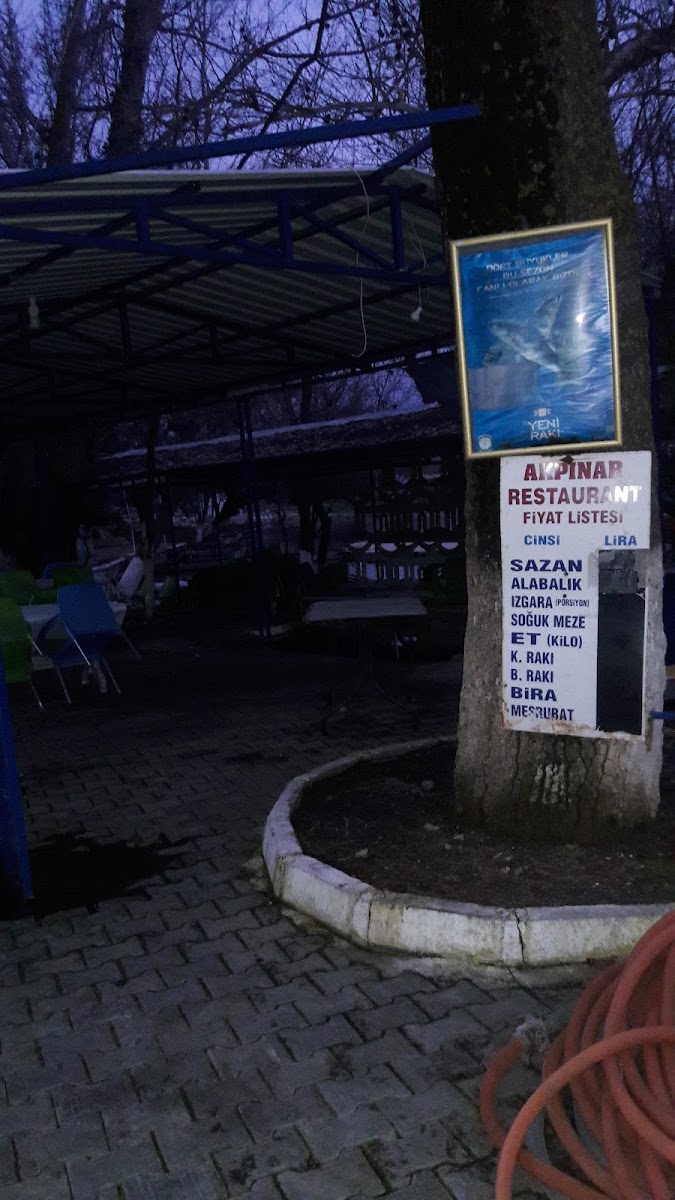 Akpınar Restaurant Canlı Sazan — fotoğraf 4