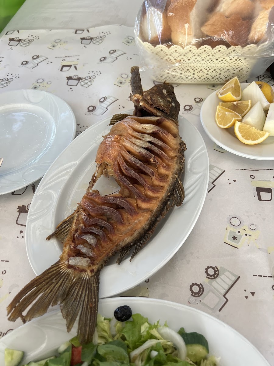 Akpınar Restaurant Canlı Sazan — fotoğraf 5