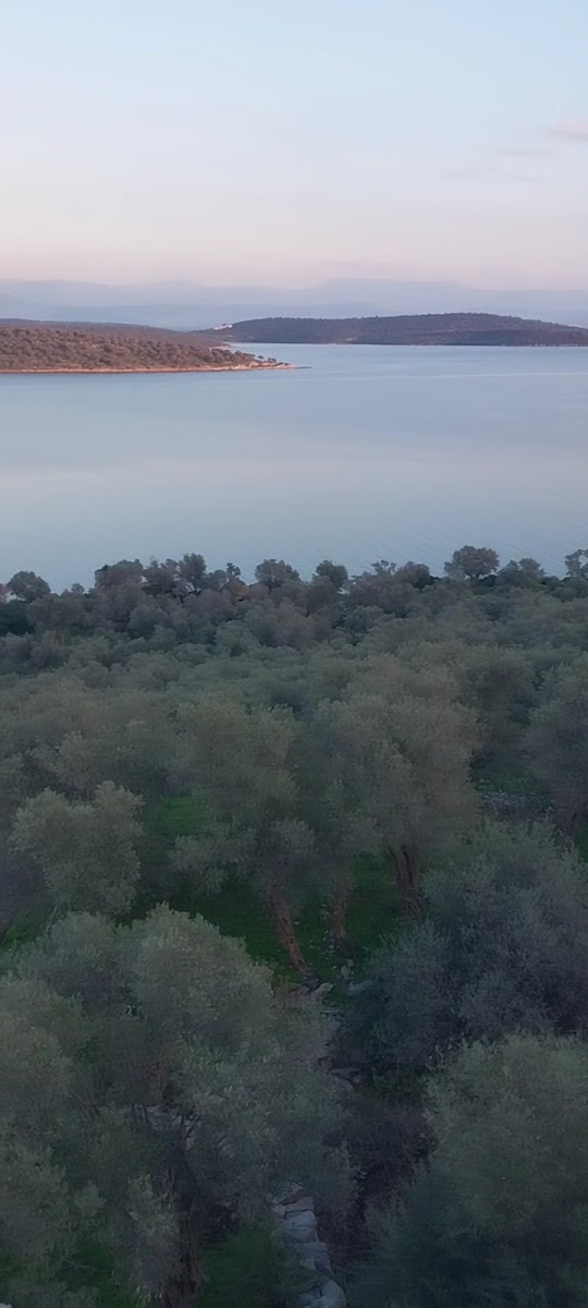 Akropolis (kale ve Hristiyan bazilikası) — photo 3