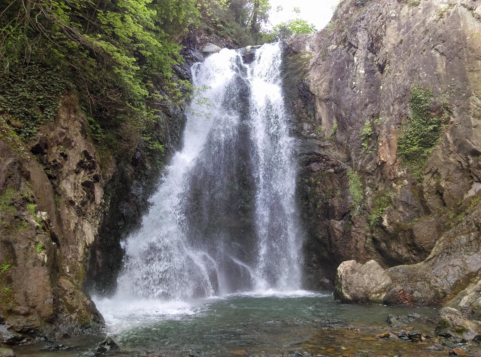 Aksa Hatıra Ormanı — fotoğraf 1