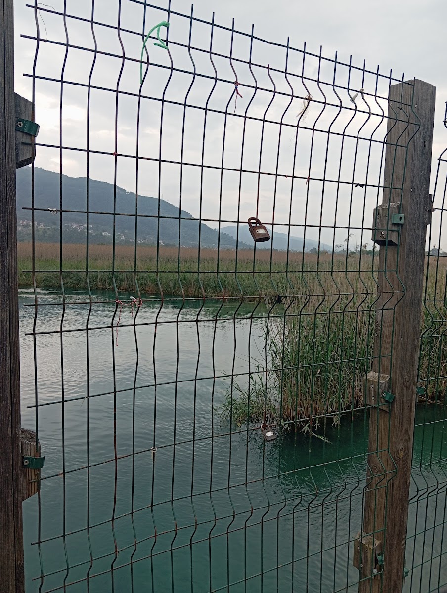 Akyaka Azmak Deresi — fotoğraf 2