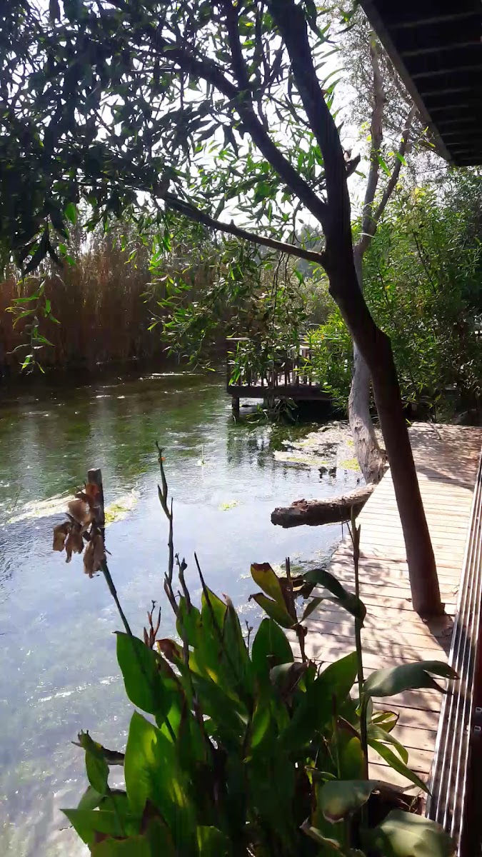 Akyaka Azmak Restoran MUĞLA — fotoğraf 3