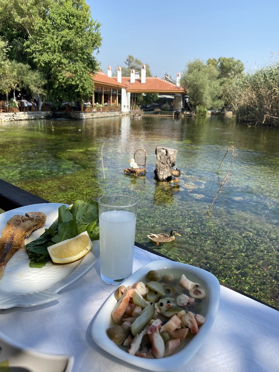 Akyaka Azmak Restoran MUĞLA — fotoğraf 4