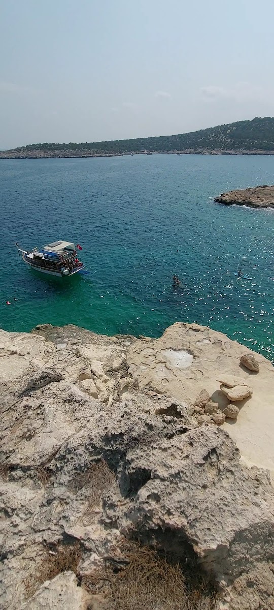 Akyar Piknik Alanı — fotoğraf 3
