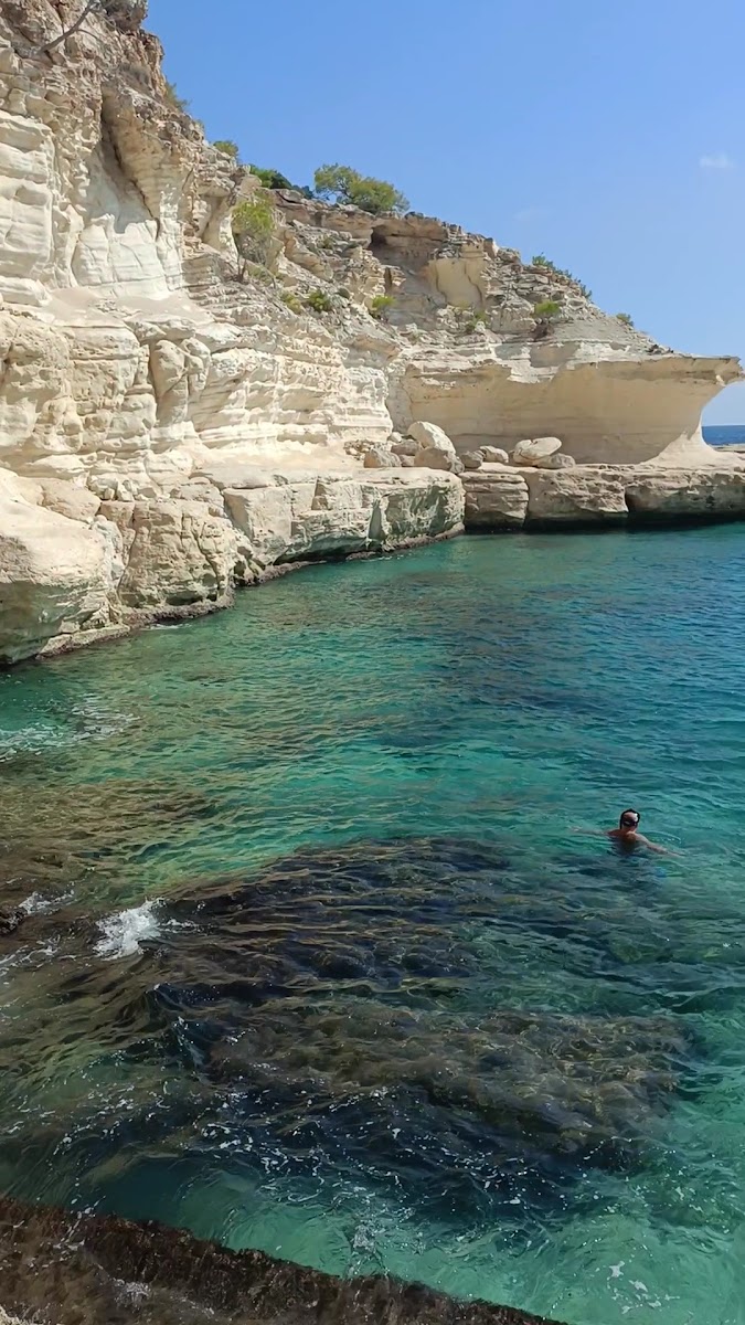 Akyar Piknik Alanı — fotoğraf 4
