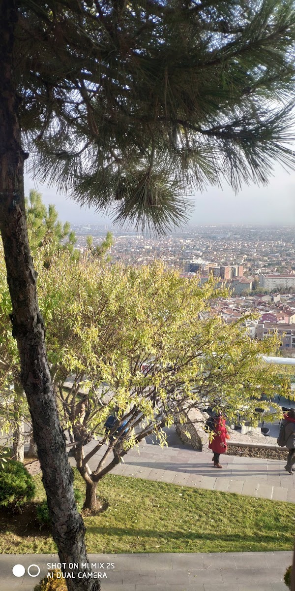Akyokuş Orman İçi Dinlenme Yeri — fotoğraf 5