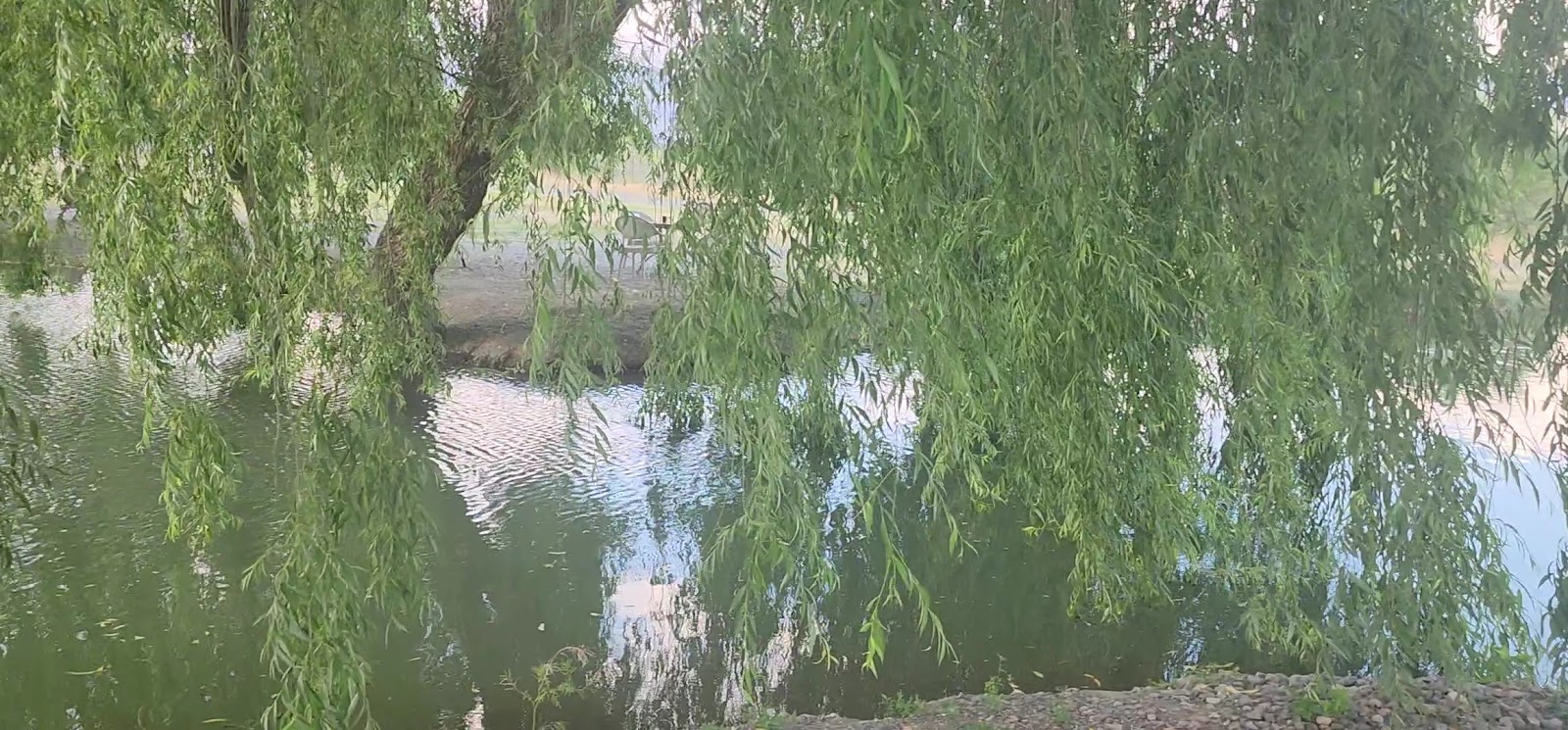 Âla Balık Restoranı — fotoğraf 3