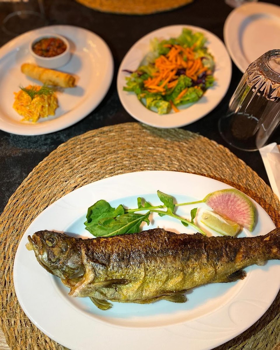 Âla Balık Restoranı — fotoğraf 6