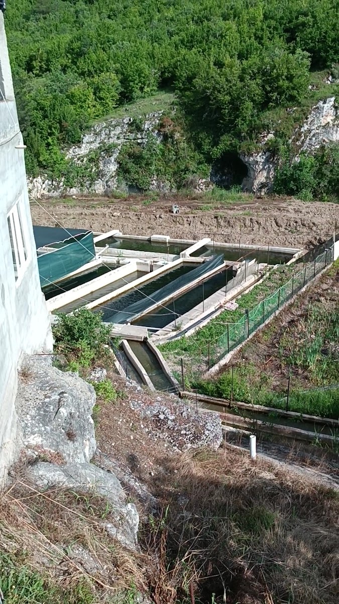ALABALIK TESİSİ ( Hocanın Yeri ) — photo 3