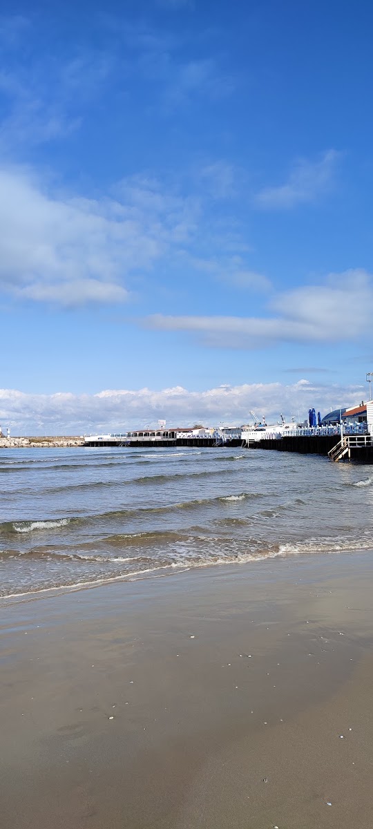 Alacalı Plajı — photo 2