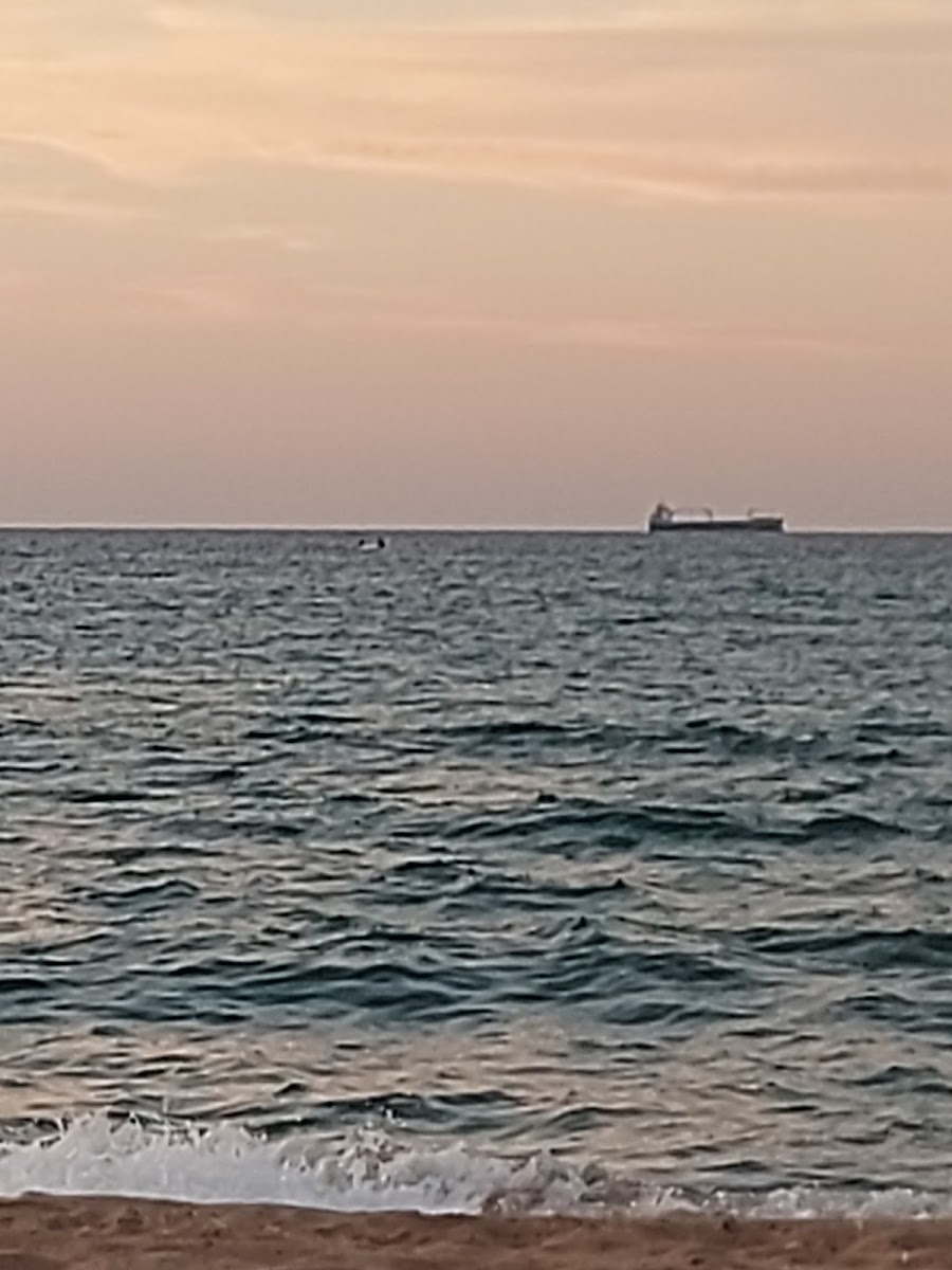 Alacalı Plajı — photo 4