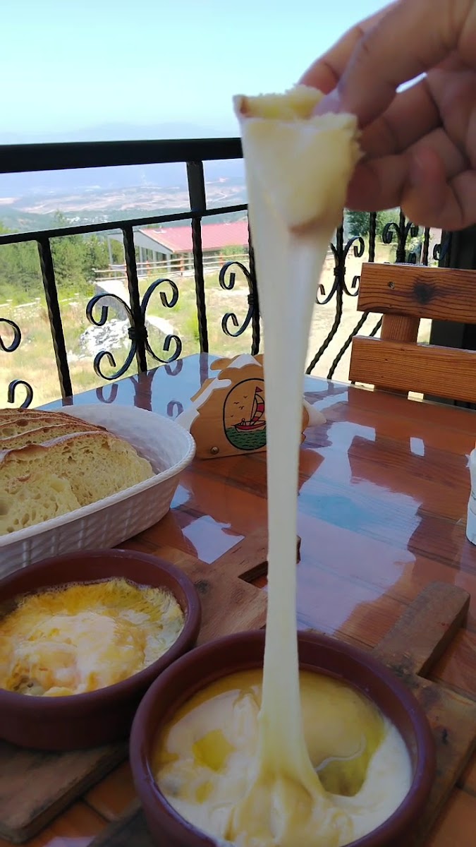 Alaçam Sefa Tepesi Et Mangal Alabalık ve Kahvaltı — photo 3