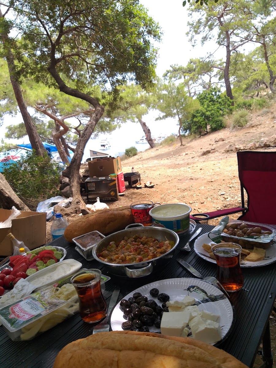 Alacasu Koyu — fotoğraf 4