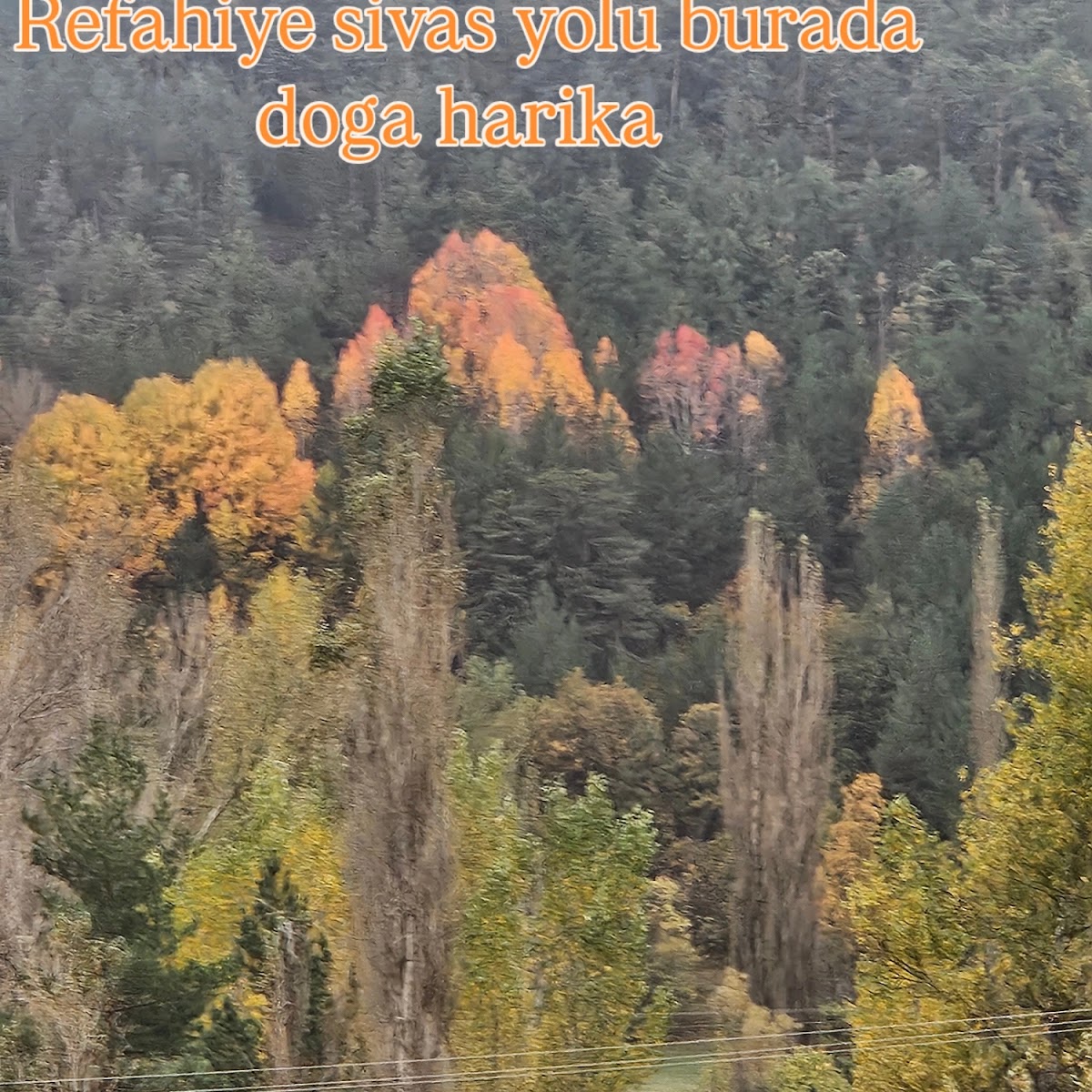 Alaçatı Kahve Evi — fotoğraf 2