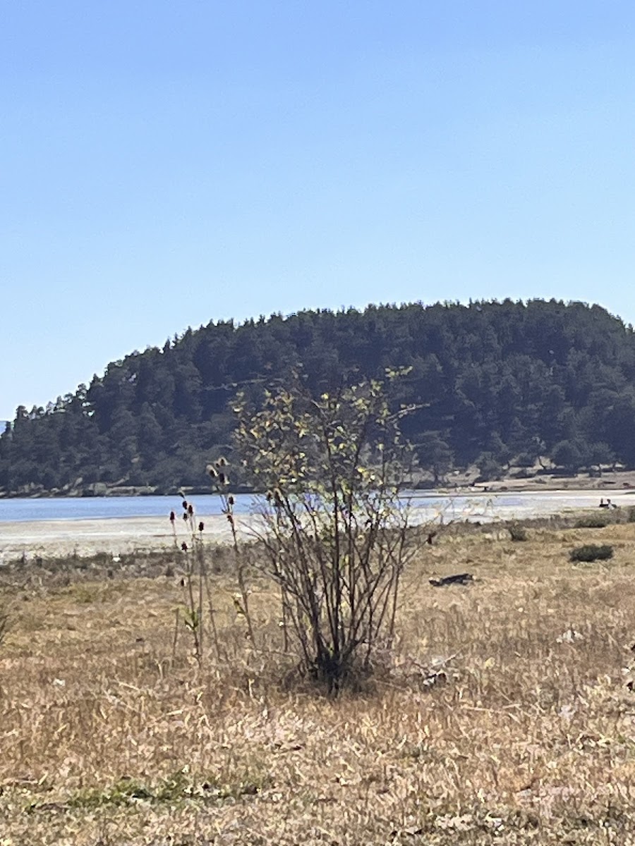 Aladağ Göleti — fotoğraf 2