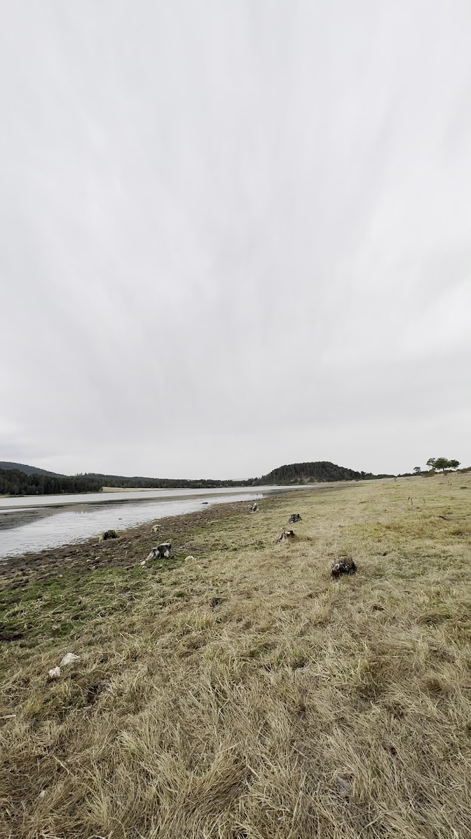 Aladağ Göleti — fotoğraf 3