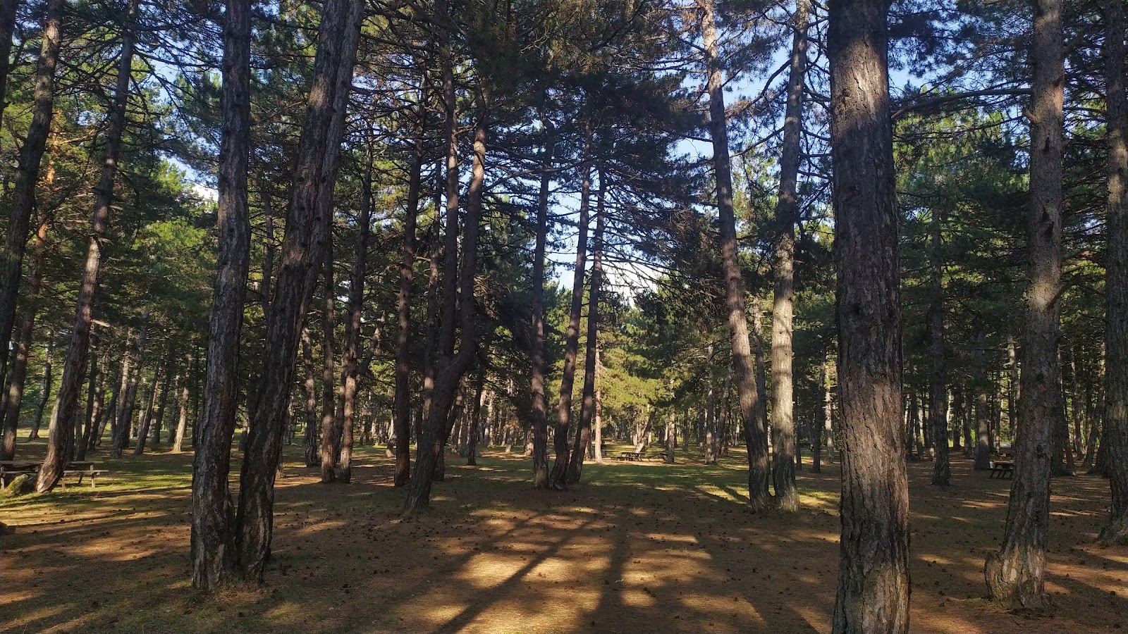 Aladağ Mesire Alanı — fotoğraf