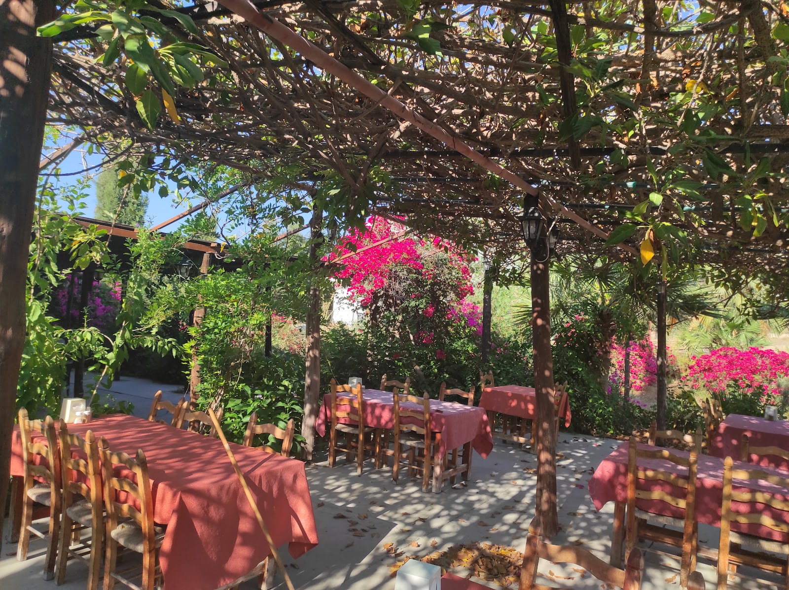 Alagadi Benöz Restaurant — photo 2