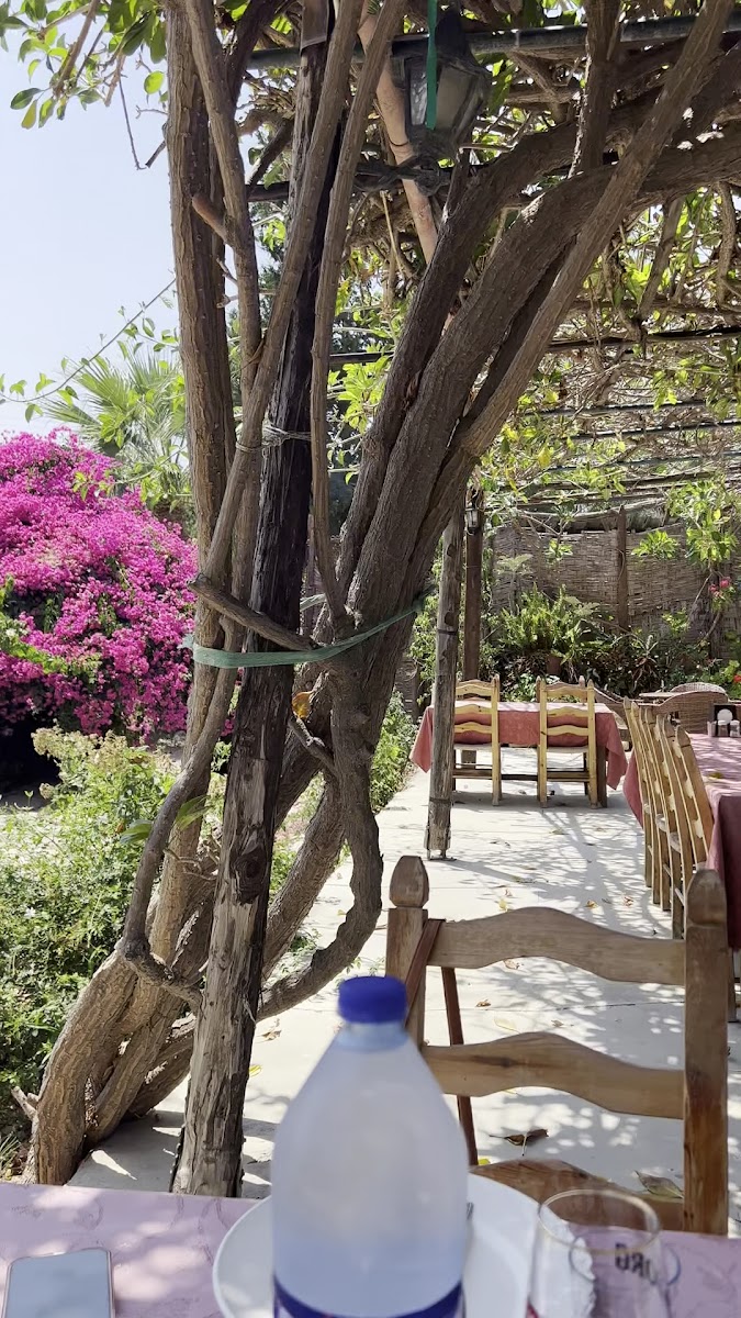 Alagadi Benöz Restaurant — photo 3