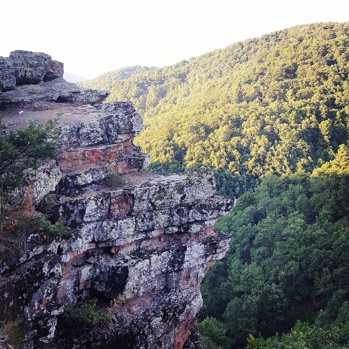 Alan Yaylası — fotoğraf 1