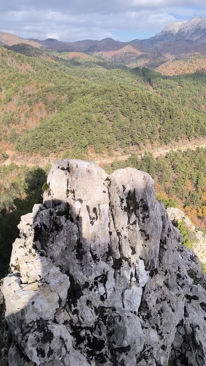 Alan Yaylası — fotoğraf 2